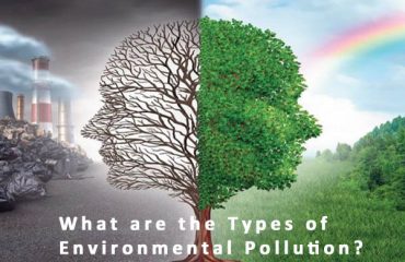 Types of Environmental Pollution